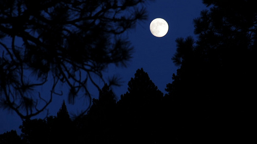 optictopic | Flickriver